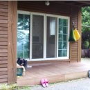 섭이네 농장 이미지