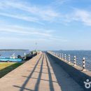 충남 서천 송석항 바다 풍경과 알아두어야 할 여행 팁 이미지