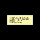 ➂ 11월 뉴욕 여행: 첼시 마켓, KITH, SOHO 맛집, 할랄가이즈