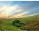 노을목장 이미지