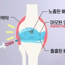 대일부산물