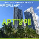 역북-24 Daum카페