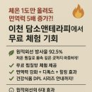 담소앤테라피