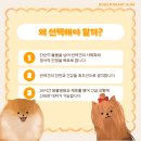 독스하트 구리 이미지