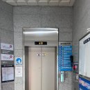 리틀원소아치과치과의원 네이버블로그
