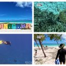 미쉐린경남(Auto 서비스) 이미지