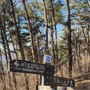 선석산 등산로 이미지