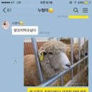 행복양꼬치 이미지