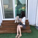 개리비안베이 이미지