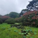 명옥헌민박 이미지