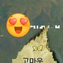 삼호로-2 이미지