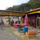 콩드립로스터스 이미지