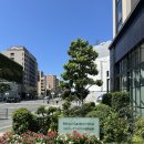 백남탕 | [후쿠오카 숙소 추천]미츠이 가든 호텔 후쿠오카 기온 솔직후기｜위치·대욕장 모두 만족