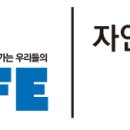 순천-48호 이미지