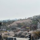 행운동-55 이미지