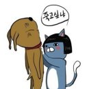 하엘 이미지