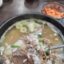 5810 | 대전 둔산동 태평소국밥 찐맛집 내돈내산 육사시미까지 먹기 !