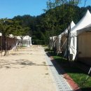 인천대공원 야영장 이미지