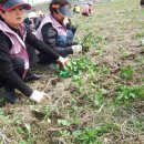 광산-평동-광산-43 이미지