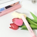 카라2 | 장마철 앞머리고정템 그로우어스 헤어픽싱카라 지속력 후기