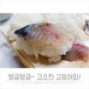 통영맛집 솔직한 후기! 쫄깃쫄깃 고등어회, 야들야들 제육볶음, 후루룩 해물 짜장면