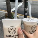 볼볼티 이미지