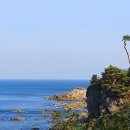 송이밸리자연휴양림 이미지