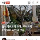 마르키리빙 이미지