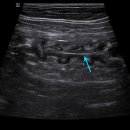 관양동물병원 이미지