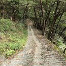 창신상사 이미지