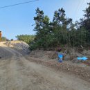 우이도 풍성사구(모래언덕) | 전남 도초 - 우이도 배편 및 상산봉 등산 코스