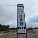 청춘당찹쌀꽈배기김녕점
