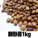 밥보 이미지
