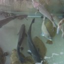 해송횟집 이미지