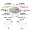 GNE를 만난 유아교육자의 유전자 지문검사에 대한 조언. 상담후기