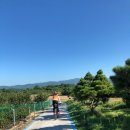 솔밭집민박 이미지