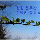 천주산 등산로 입구 이미지