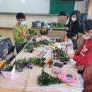 용머리초등학교 이미지