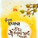올클리어 이미지