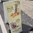 하고야까페 이미지