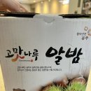 [공주 알밤 추천] 밤의 여왕 '옥광' 내돈내산 후기, 명절 선물로도 완벽한 고맛나루 알밤