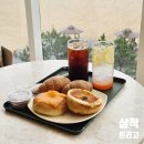 멋진 | 삼척해수욕장 카페 오션뷰가 멋진 트리고 재방문후기