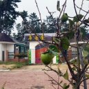 푸른솔민박 이미지