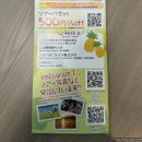 투어라인여행사 이미지