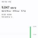 보람미트(주) 이미지