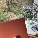 번창교통 | 서울대입구네일 디어네일리 자석네일 후기 ✨