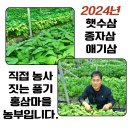 인삼마을벌꿀 이미지