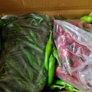 서경농장 이미지