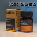 웰리카 검은통 모그로스 후기, 맥주효모 비오틴 탈모영양제