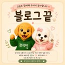 [신정동] 왕십리야채곱창 순대볶음 포장 후기, 퇴근 후 맥주 한 캔이랑 딱이었다